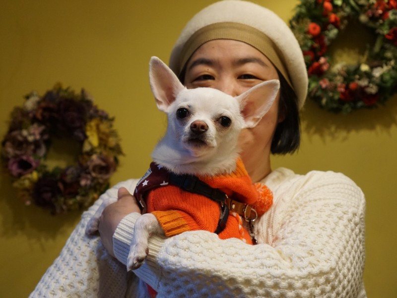 犬の社交場でもあるカフェに週２度くらい寄る森廣さんとこうめちゃん「ママ、カフェは毎日でもいいよ」