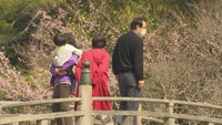 咲き始めた桜を楽しむ人々