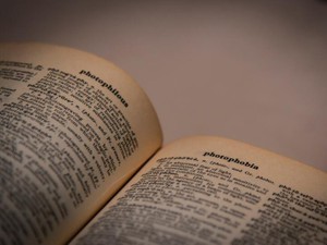 直感で行動しても案外後悔はしないもの。苦しくても楽しいから