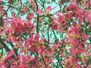 「痩せた方がいい」大人の何げない一言が子どもの私に響いた