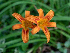 嬉しくて、嫌。「お母さんに似ている」からの卒業を決意した日