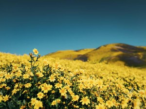 校則、派閥、悪口。境界線だらけの学校に私は行かないという選択をした