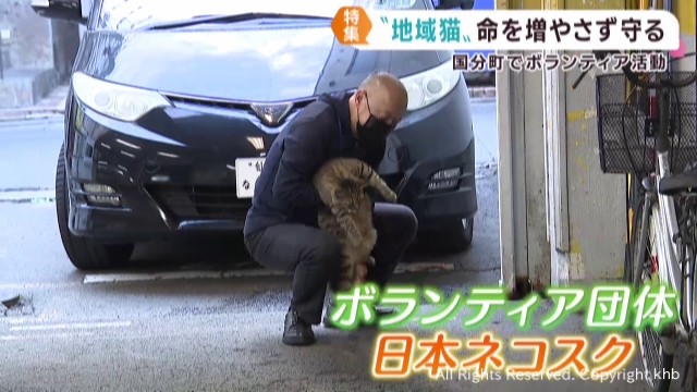 地域猫を守る