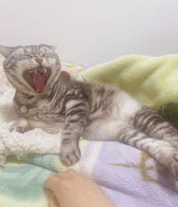 一緒に歩んだ8年間は、思い出がたくさん