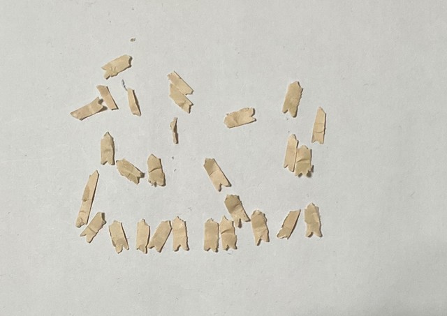 特に難航した透かし部分。細かな破片が多く、最後まで慎重な作業が求められた／i l 1 0 5さん（@asdfg32296822）提供