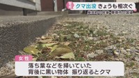 中学校近くにクマ　宮城県の柴田町と栗原市　柴田町では住民と鉢合わせ