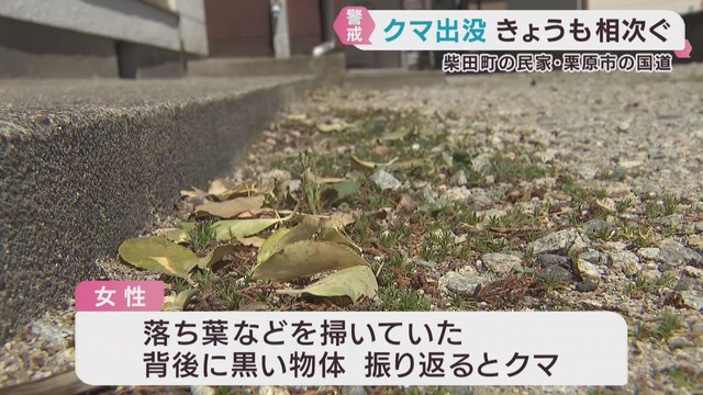 中学校近くにクマ　宮城県の柴田町と栗原市　柴田町では住民と鉢合わせ