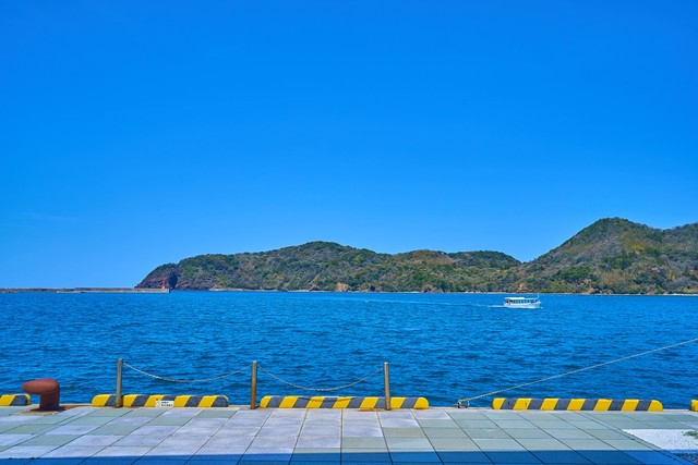 「君は日本海にいたら行けないはずの魚では…？」。日本海で捕獲された珍客とは！？※画像はイメージです（Q2PHOTOAS/stock.adobe.com）