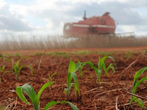 育たないなら土から造り替える　ブラジルで起きた農業生産３倍増の「奇跡」