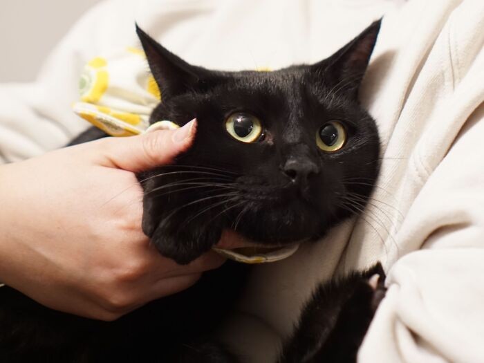 甘えん坊男子アルくん