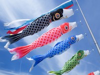 鯉のぼり※画像はイメージです（moonrise/stock.adobe.com）