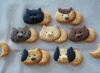 毛柄が様々な猫クッキー