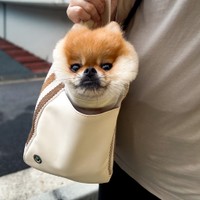 外に出たいワン！（画像提供：EBIKECHIさん）