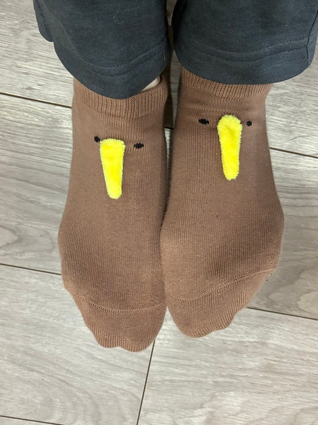 靴下だけでもキュートなキウイの靴下（提供：もずももこ✒︎さん）