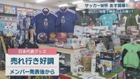 MOMIJIYA F.C　岡山・東区西大寺南