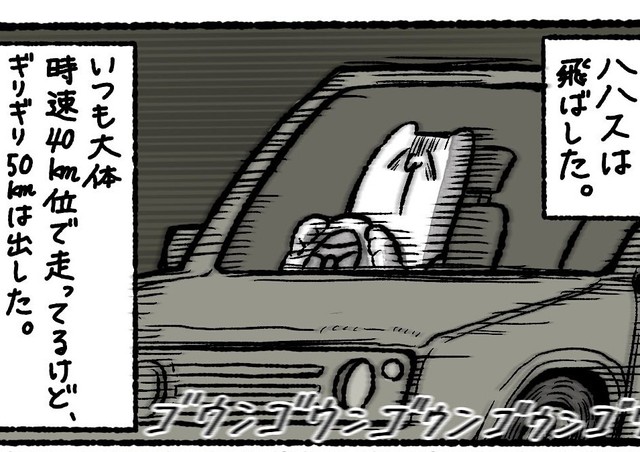 いつもよりも少しスピードを上げて病院へ向かう（ゆう｜ノープロブレムキャットさん提供）