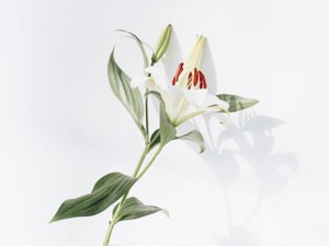 自信がなくて、友達に「いつ戻ってくる」の問いに答えられずにいた