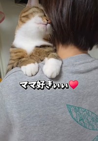 ママに抱っこされてうれしそうなちゃちゃ（投稿からキャプチャ）