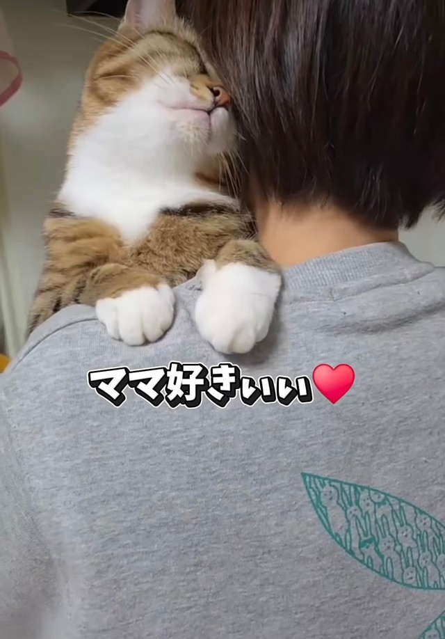 ママに抱っこされてうれしそうなちゃちゃ（投稿からキャプチャ）