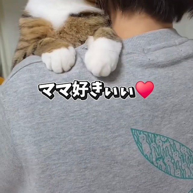 ママに抱っこされてうれしそうなちゃちゃ（投稿からキャプチャ）
