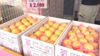 高級フルーツ「清水白桃」をお得な価格で　初開催のフェアに長い列　岡山・総社市