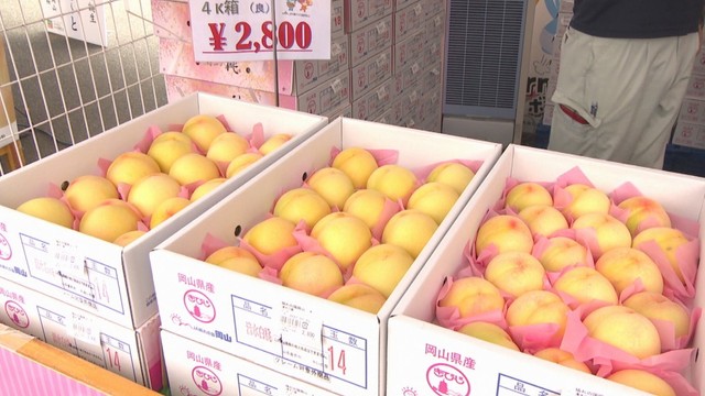 高級フルーツ「清水白桃」をお得な価格で　初開催のフェアに長い列　岡山・総社市