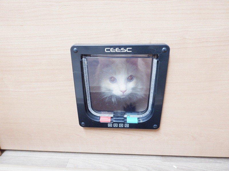 猫ドアをロックすれば、自室内で飼うこともできる