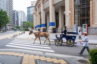 混乱を防ぐため、試走は周囲の施設や商店のオープン前におこなわれた（明石乗馬協会提供）