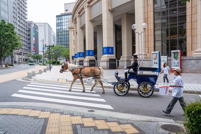 混乱を防ぐため、試走は周囲の施設や商店のオープン前におこなわれた（明石乗馬協会提供）