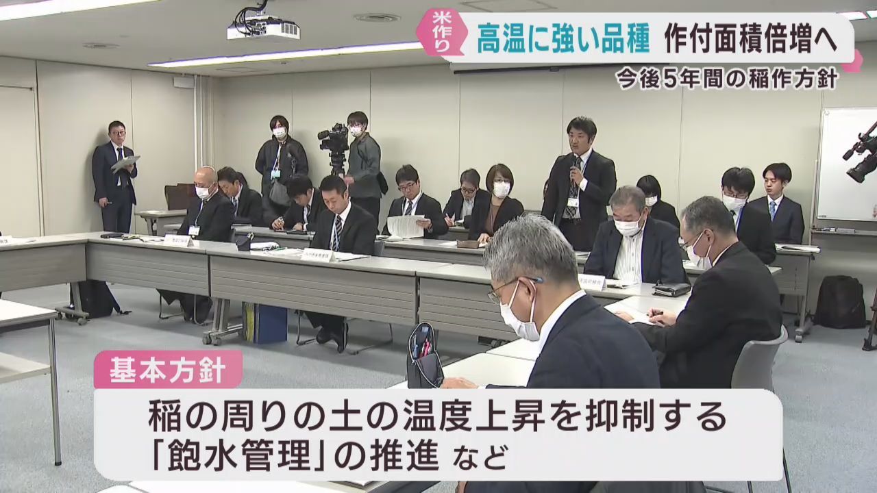 宮城県産米　高温障害に強い品種の作付けを倍増へ