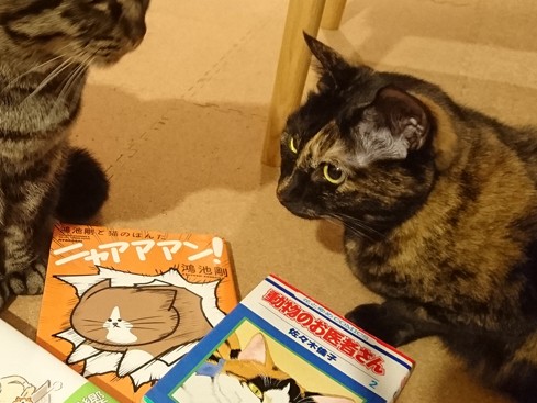 猫飼いがオススメする猫マンガ　“ほのぼの”なのに、号泣！？