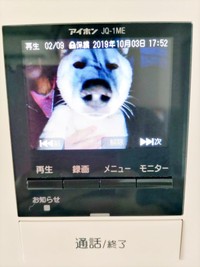 インターホンに映ったしろくんーー衝撃のお顔に！（画像提供：ちろさん）