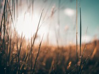 16年の学生生活にピリオドを打つ今年、限界まで挑戦＆満喫したい