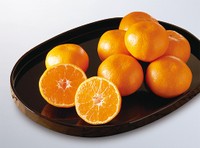 近大みかん（イメージ／提供写真）