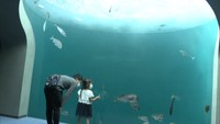 四国水族館