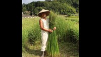 草履の材料を自らの手で無農薬栽培