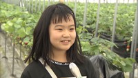 イチゴ狩りに訪れた人