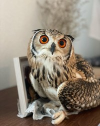 お気に入りのものがあるとつかんじゃうよ！（提供：@mozmoz0704さん）
