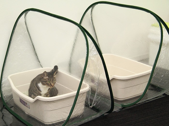 トイレ係は朝一番に出社した人