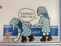 （すかもめさん提供）