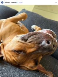 ドジャースの山本由伸選手の公式インスタグラムから