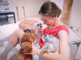 育児放棄で保護されたマルチーズ　新たな家族に迎えました