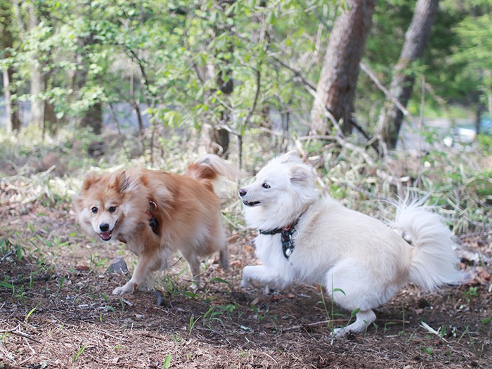 仲良さそうで何より