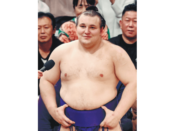 大相撲　安青錦　6点セット 安青錦 | 大相撲公式ファンクラブ