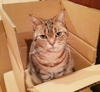 頭に浮かぶのは、楽しくてかわいい思い出と「生きてほしい」という祈り