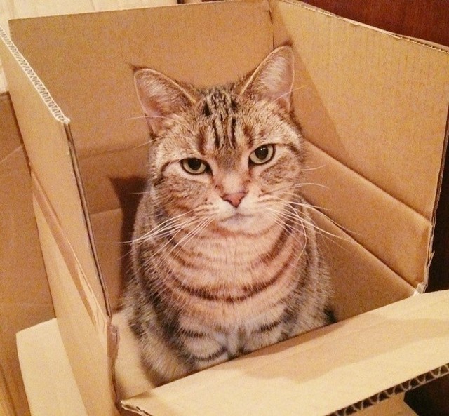 頭に浮かぶのは、楽しくてかわいい思い出と「生きてほしい」という祈り