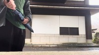 一見普通の傘。 ※TKGさんの公開動画より抜粋
