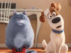 飼い主がいない時、犬や猫は何してる？　アニメ映画「ペット」