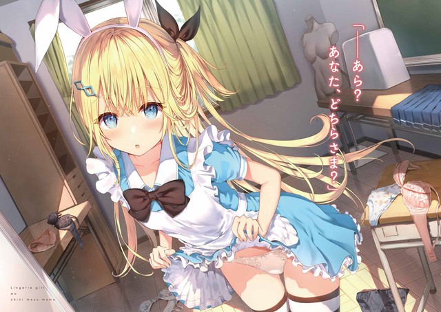 「ランジェリーガールをお気に召すまま」（ＫＡＤＯＫＡＷＡ）口絵