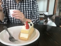 プリンがもらえなくて、残念無念なサスケくん